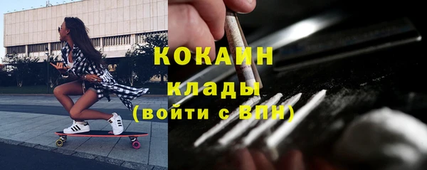 гашик Мегион