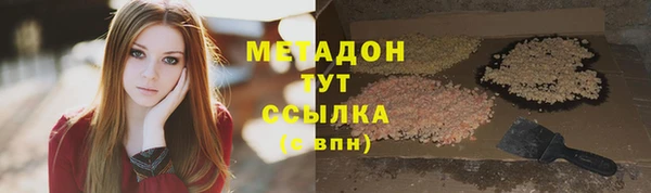 гашик Мегион