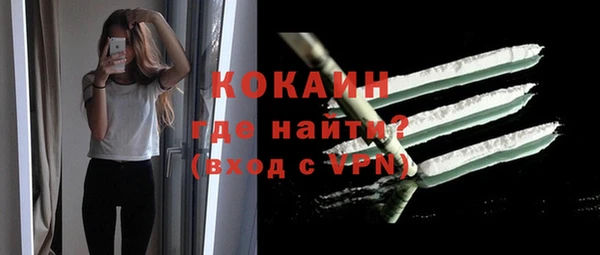 гашик Мегион