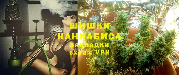 спиды Медвежьегорск