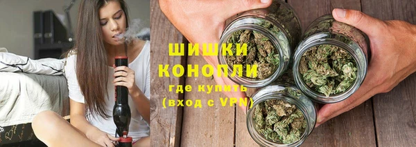 гашик Мегион